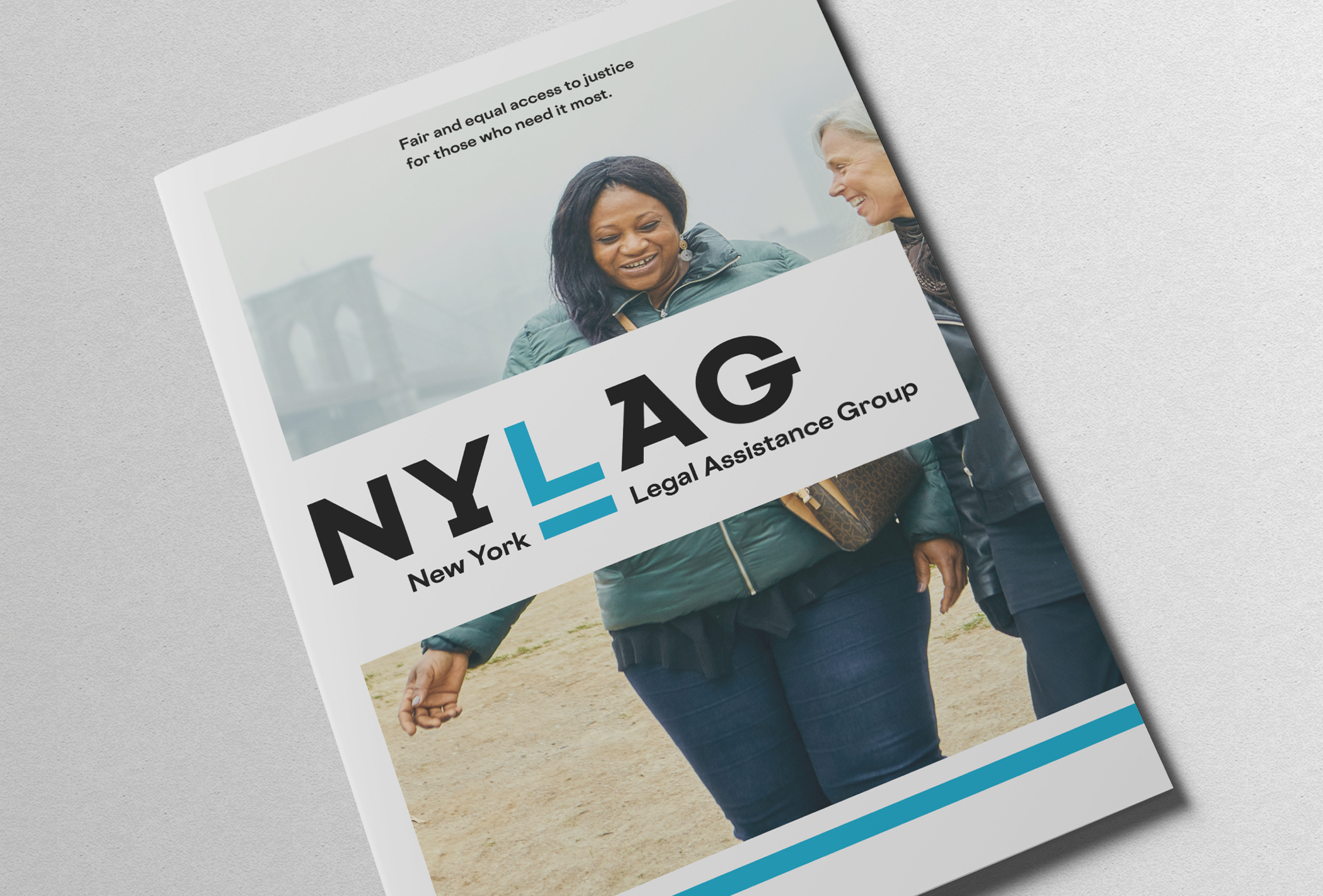 NYLAG brochure cover